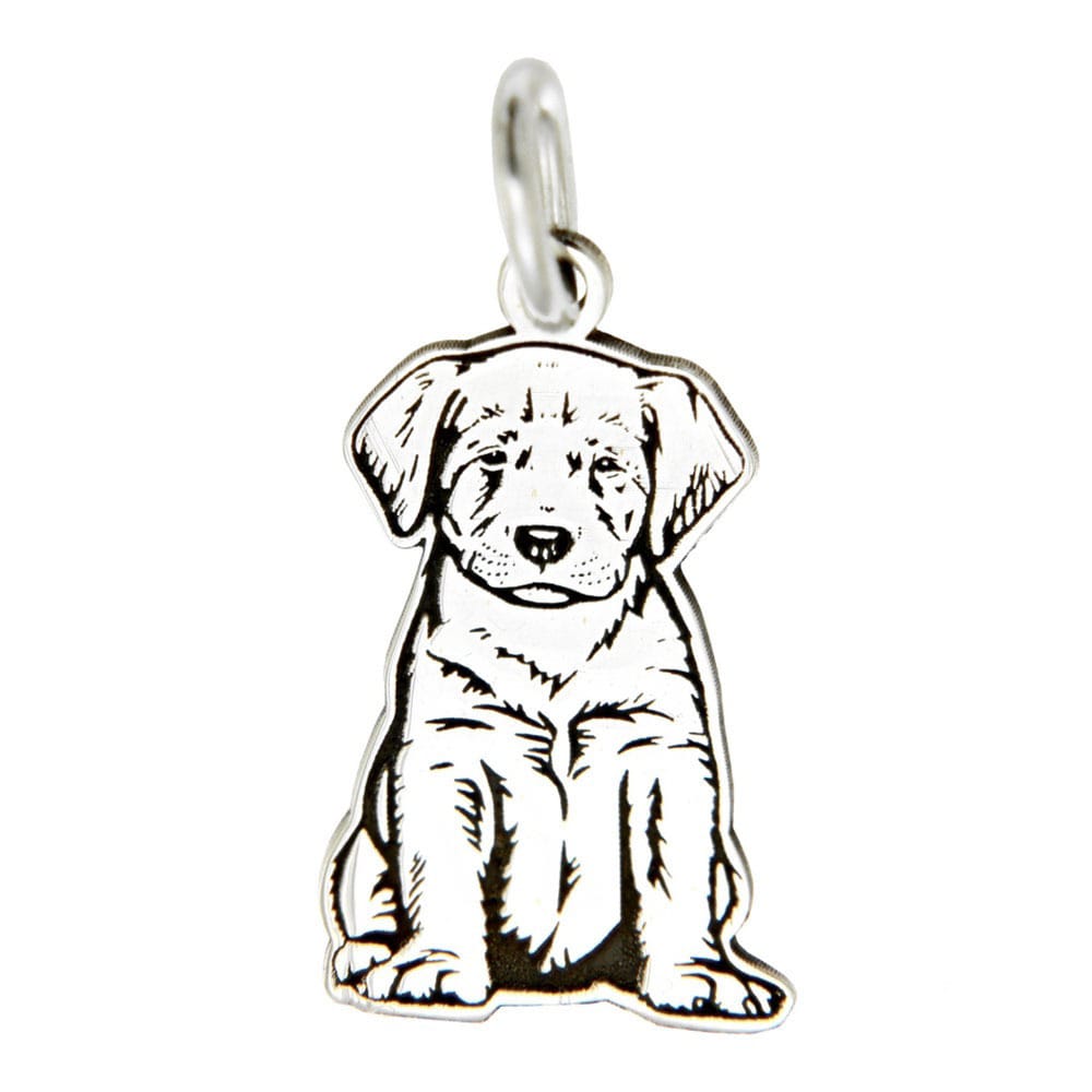 Labrador